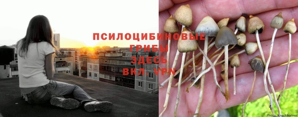 наркотики Алексеевка