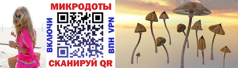 Галлюциногенные грибы мицелий  Ухта 
