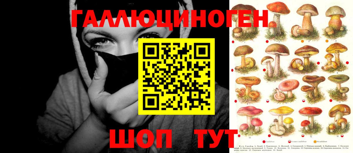Псилоцибиновые грибы ЛСД  купить   Ухта  Вход с VPN 